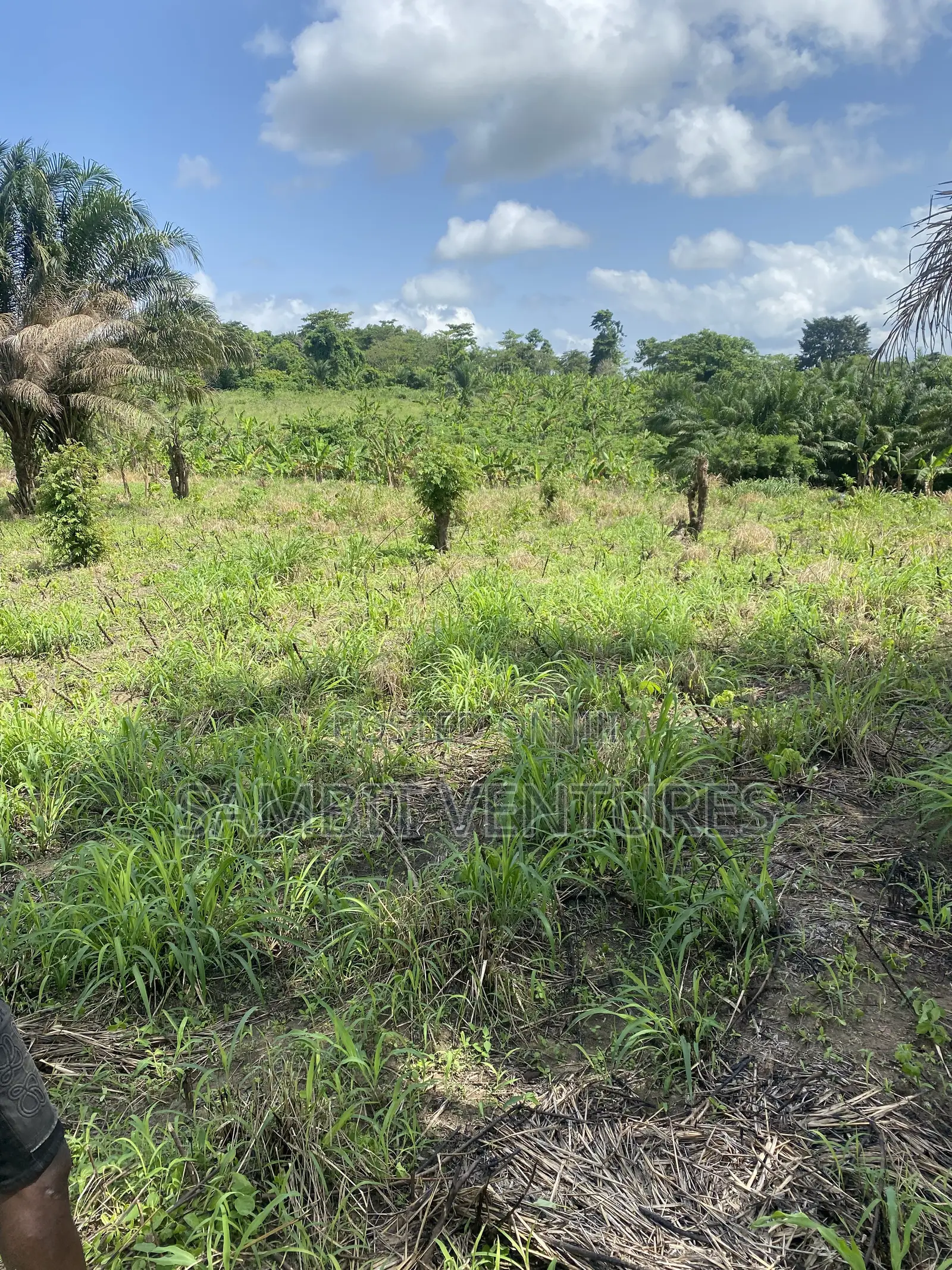 Farm Land at Krabo Kotaa 15 Minutes Drive From Adeso Junction in Ayensuano