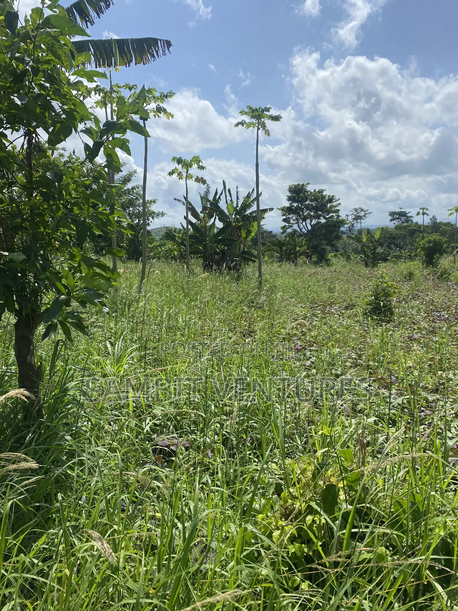 Farm Land at Krabo Kotaa 15 Minutes Drive From Adeso Junction in Ayensuano