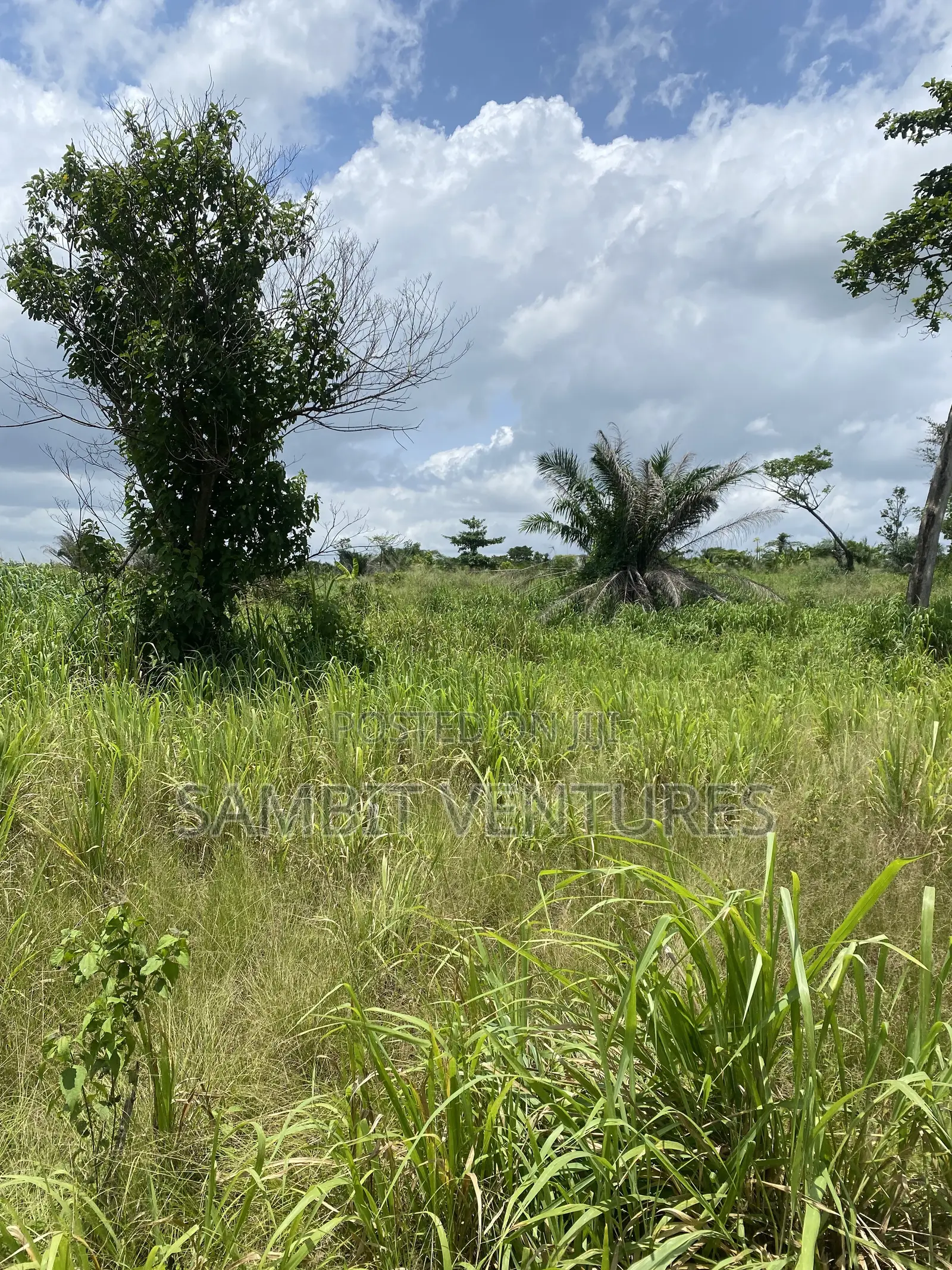 Farm Land at Krabo Kotaa 15 Minutes Drive From Adeso Junction in Ayensuano