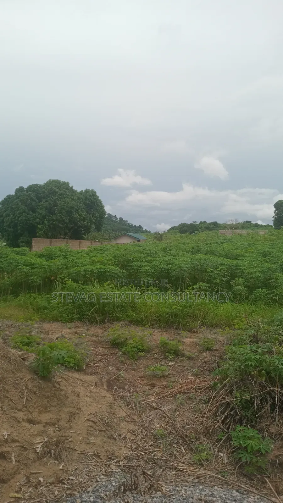 Plots of Land at Kasoa Adawukwa Junction for Sale in New Market