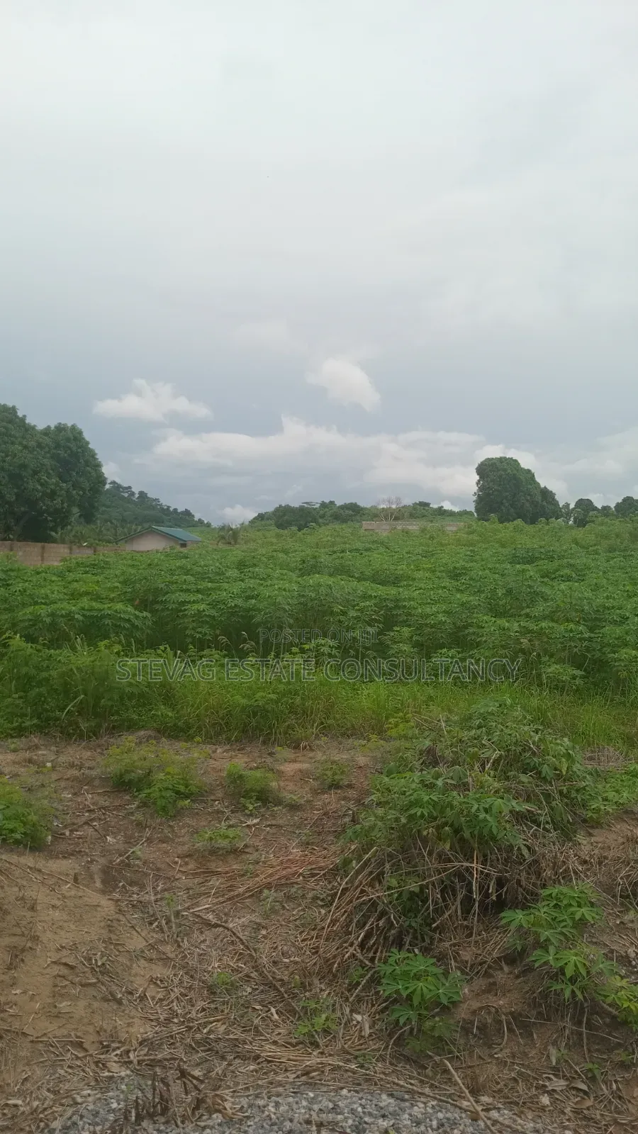 Plots of Land at Kasoa Adawukwa Junction for Sale in New Market