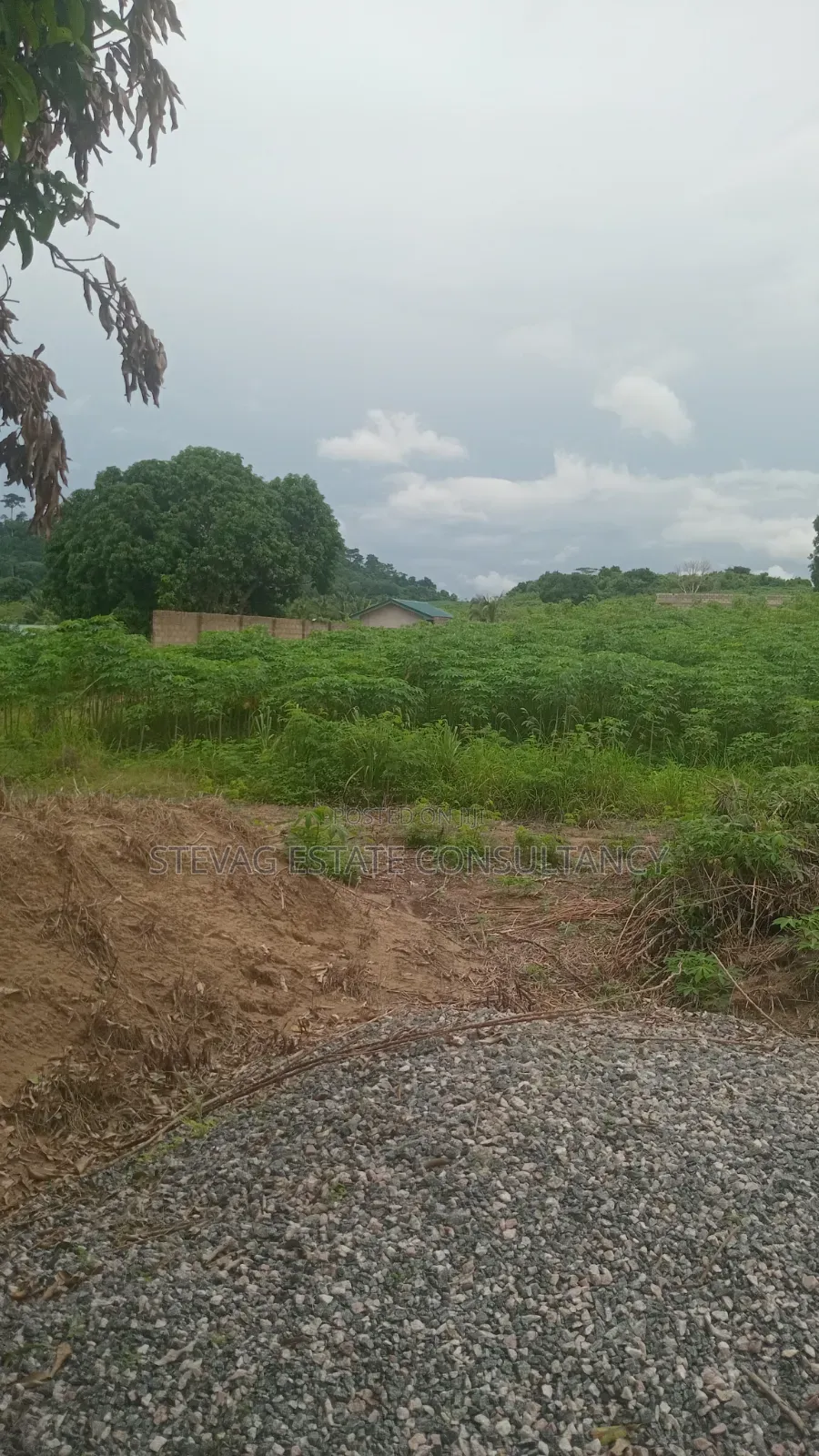 4 Plot of Land for Sale at Kasoa Adawukwa Akufu Krodua in Bluetop Estate