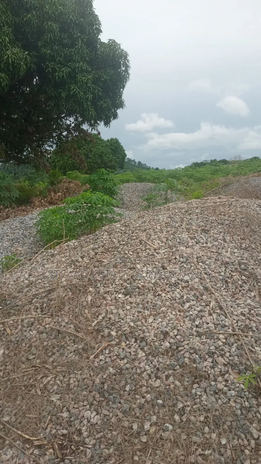 4 Plot of Land for Sale at Kasoa Adawukwa Akufu Krodua in Bluetop Estate