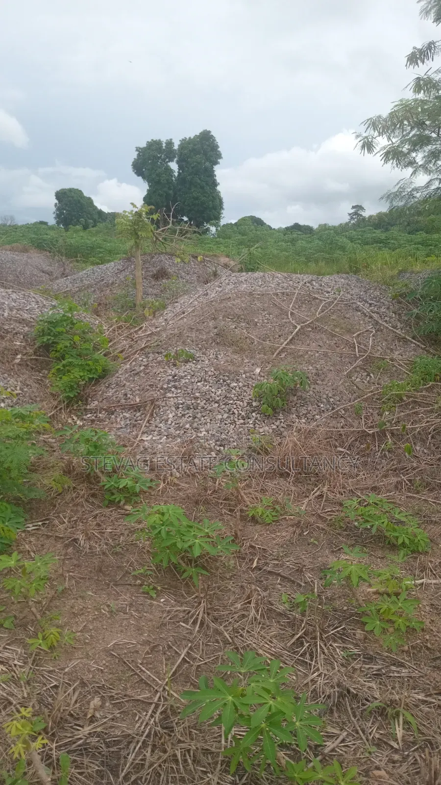 4 Plot of Land for Sale at Kasoa Adawukwa Akufu Krodua in Bluetop Estate