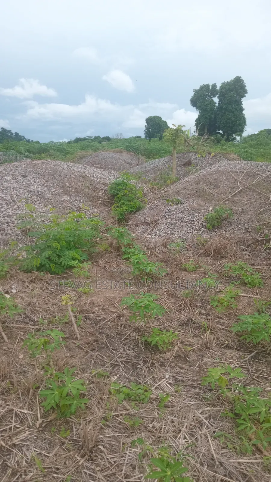 Estate 3 Plots of Land for Sale at Kasoa Adawukwa in Bluetop Estate