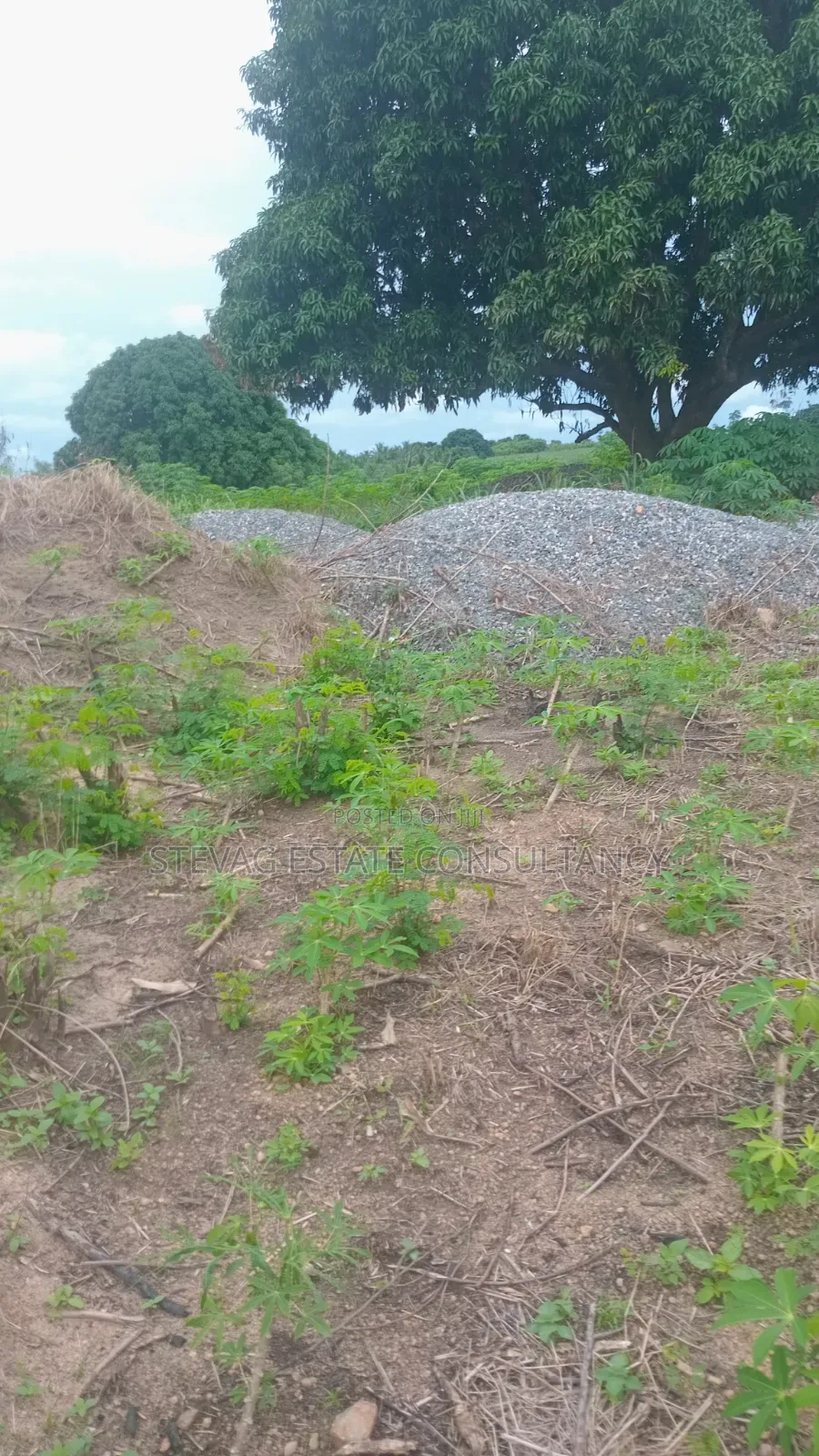 Estate 3 Plots of Land for Sale at Kasoa Adawukwa in Bluetop Estate