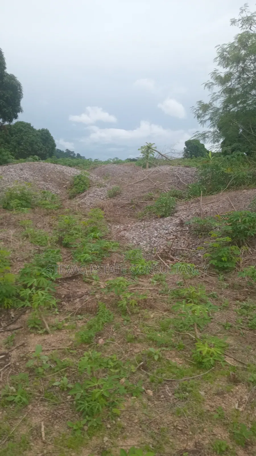 Estate 3 Plots of Land for Sale at Kasoa Adawukwa in Bluetop Estate