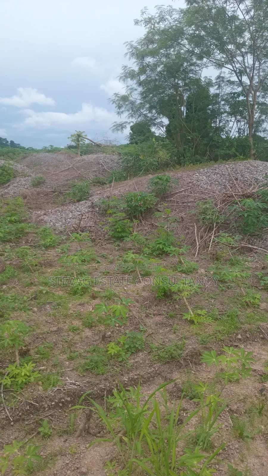 Estate 3 Plots of Land for Sale at Kasoa Adawukwa in Bluetop Estate