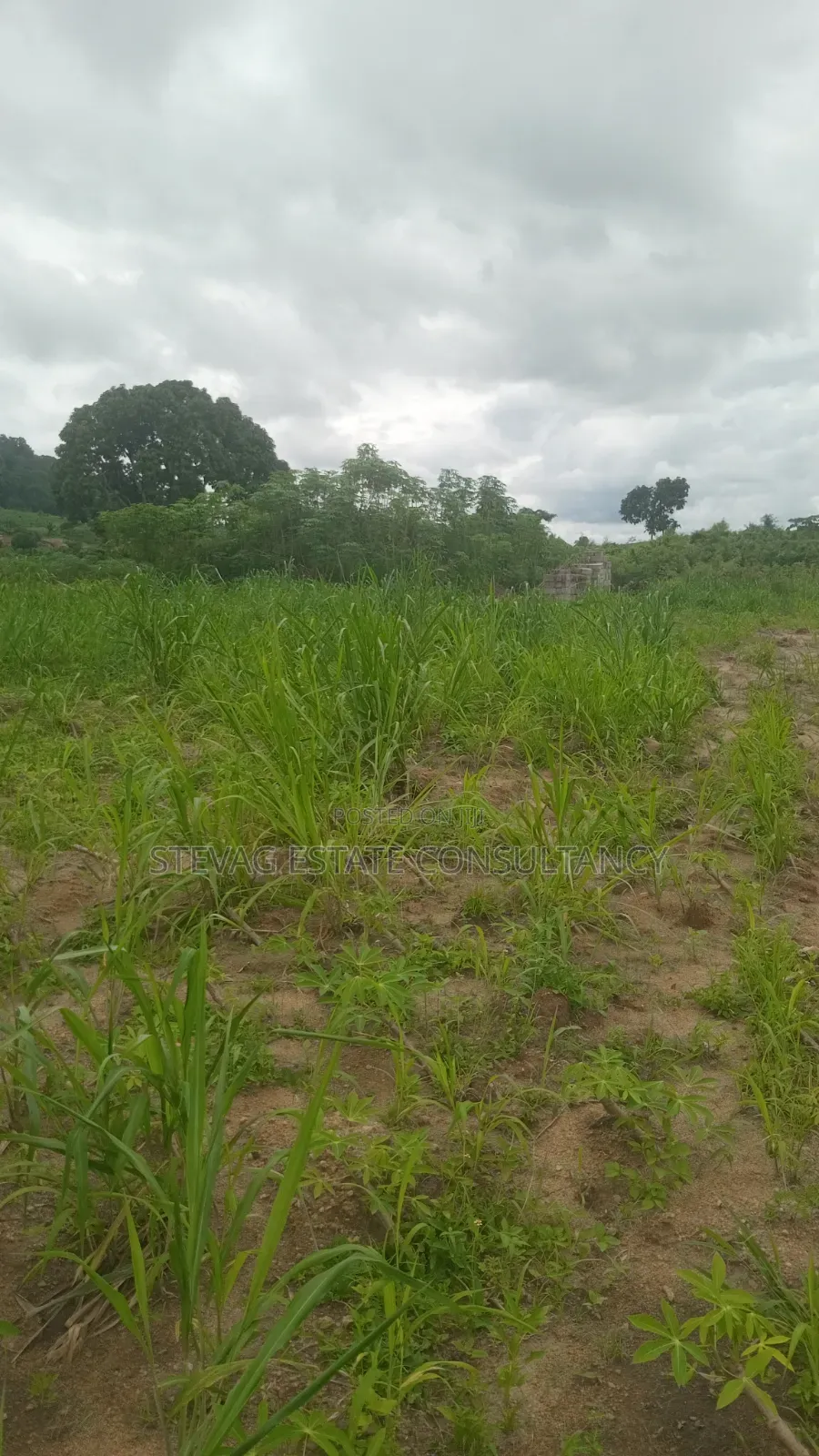 Estate 3 Plots of Land for Sale at Kasoa Adawukwa in Bluetop Estate