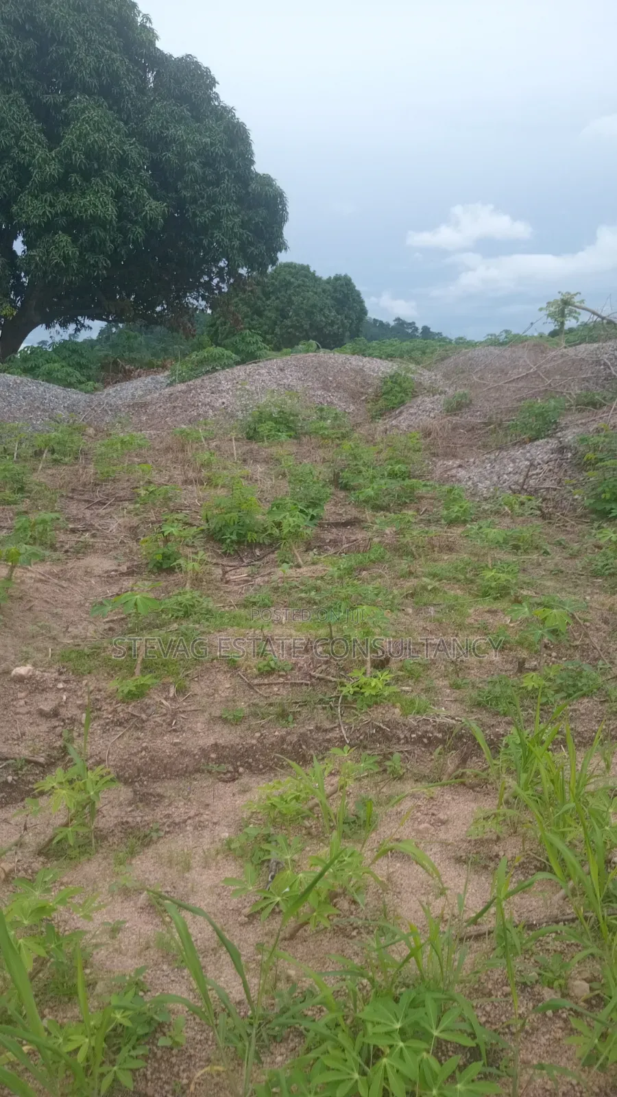 5plots of Land Available for Sale at Kasoa Adawukwa in Bluetop Estate