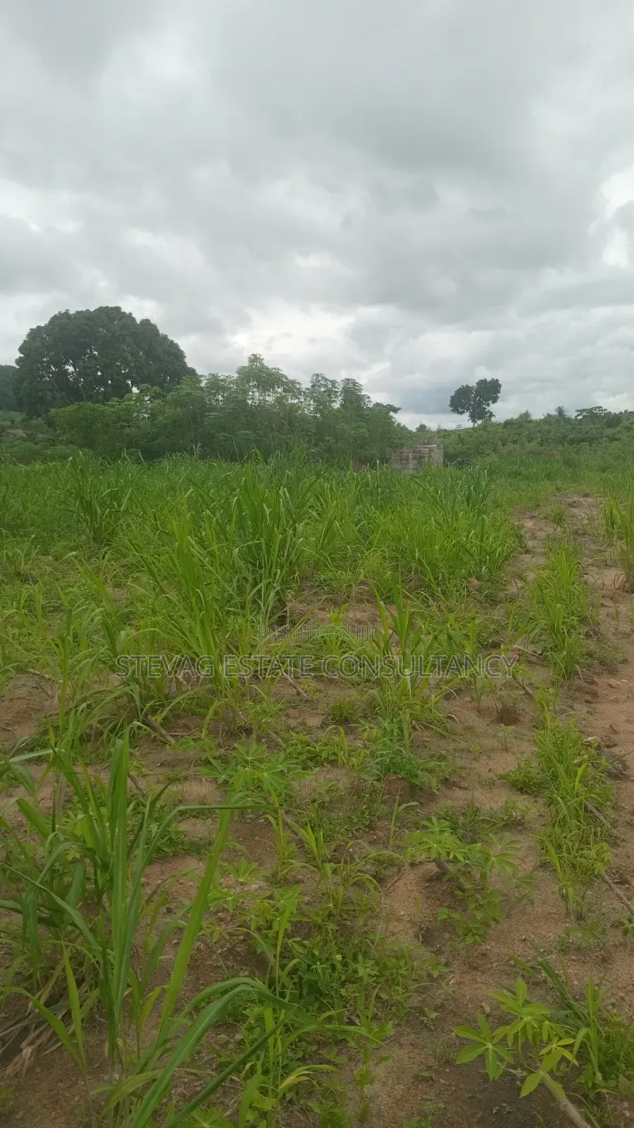 5plots of Land Available for Sale at Kasoa Adawukwa in Bluetop Estate