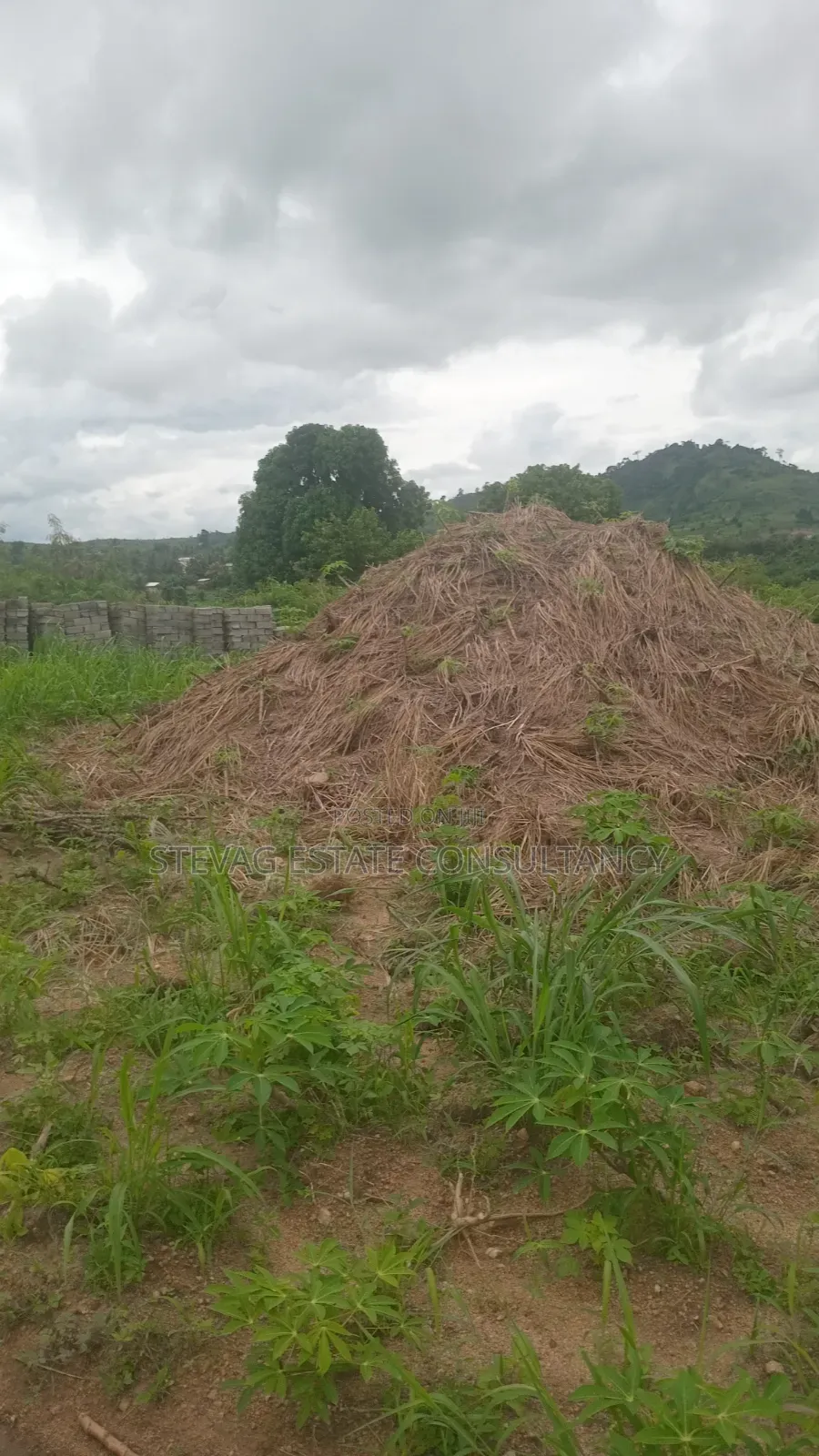 Alpha Properties Estate Land for Sale at Nsawam Ayibontey in Bluetop Estate