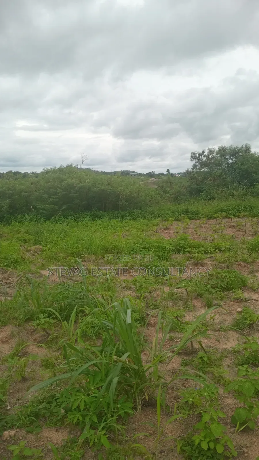 Alpha Properties Estate Land for Sale at Nsawam Ayibontey in Bluetop Estate