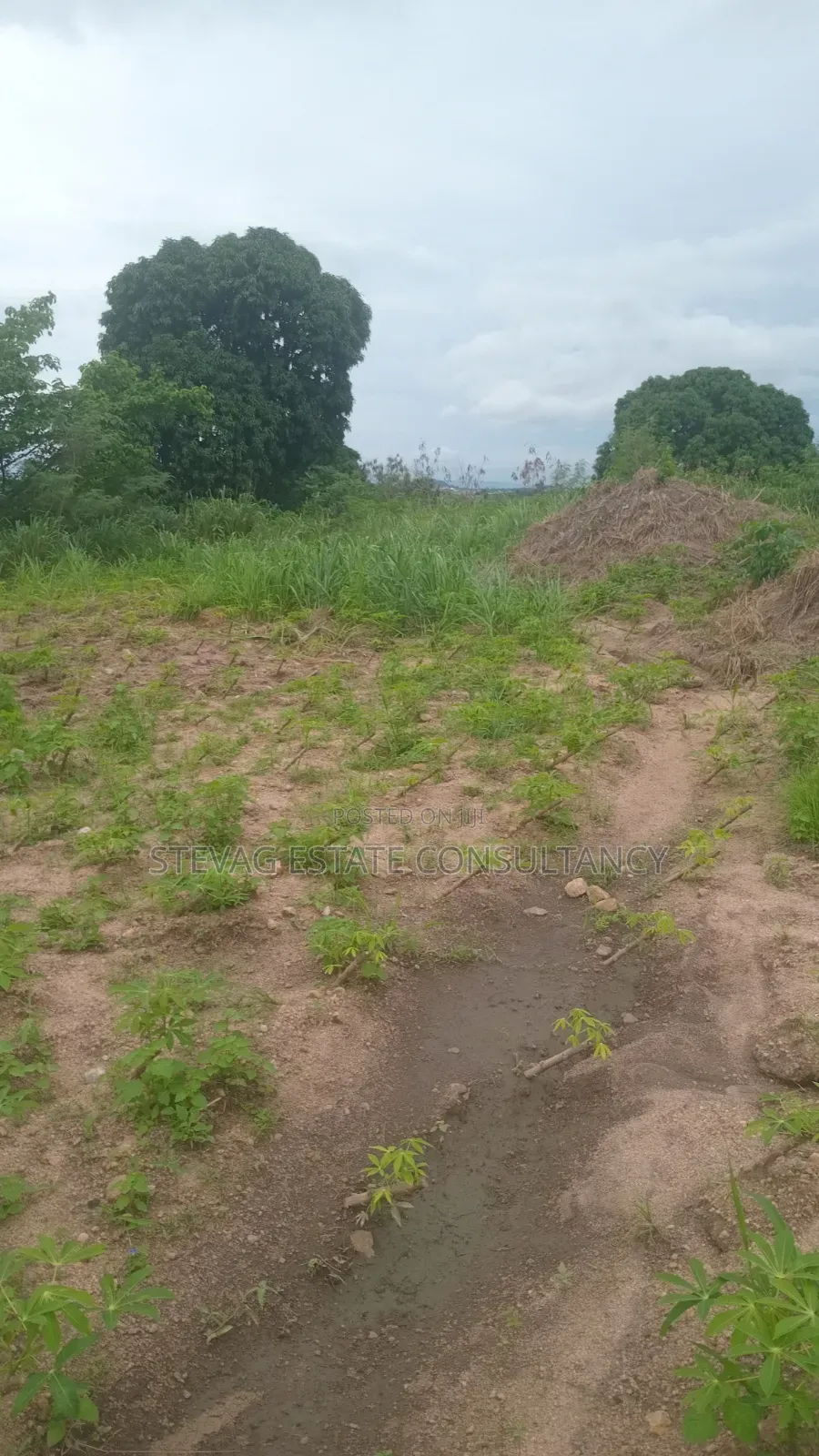 Alpha Properties Estate Land for Sale at Nsawam Ayibontey in Bluetop Estate