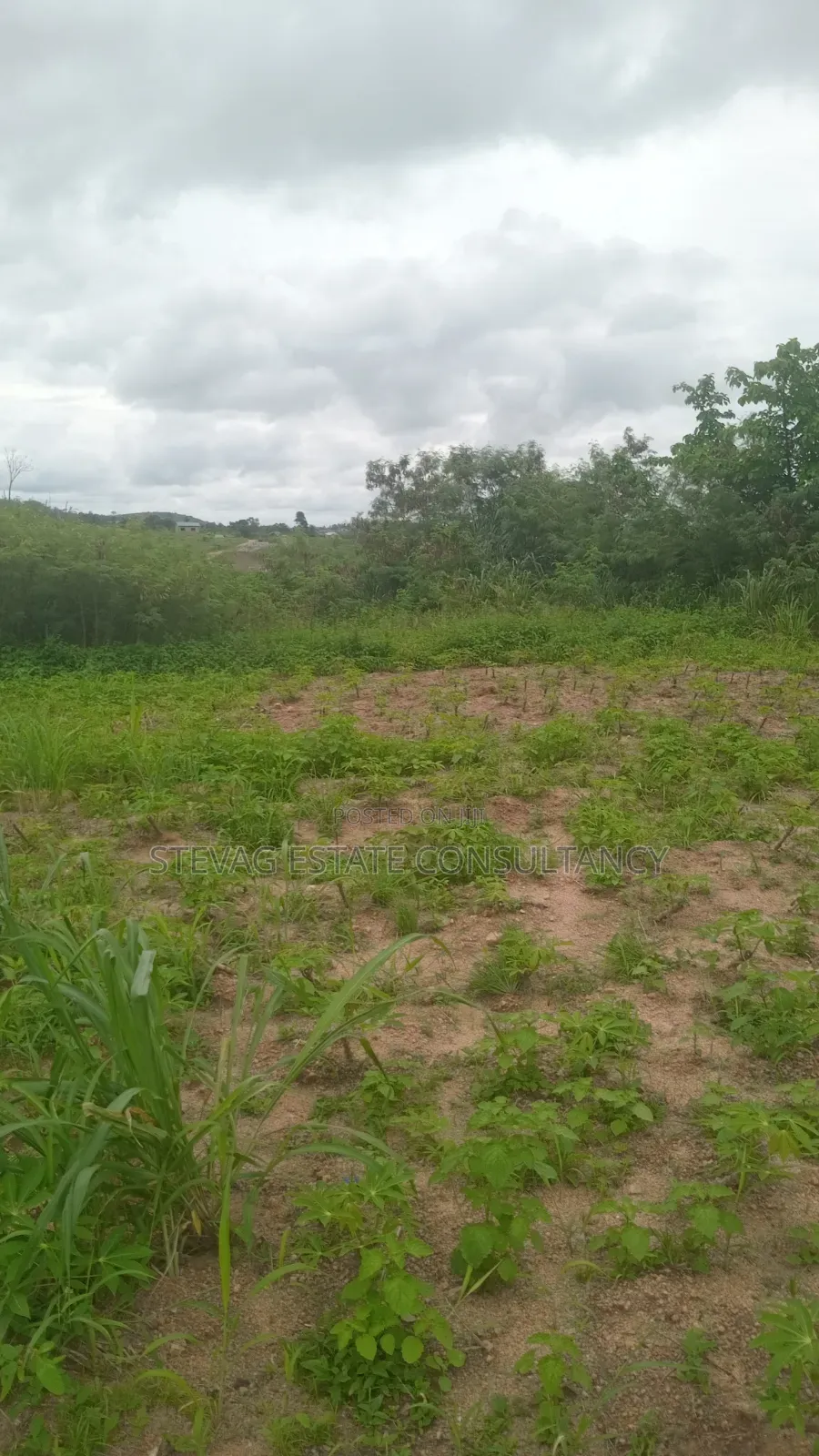 Alpha Properties Estate Land for Sale at Nsawam Ayibontey in Bluetop Estate