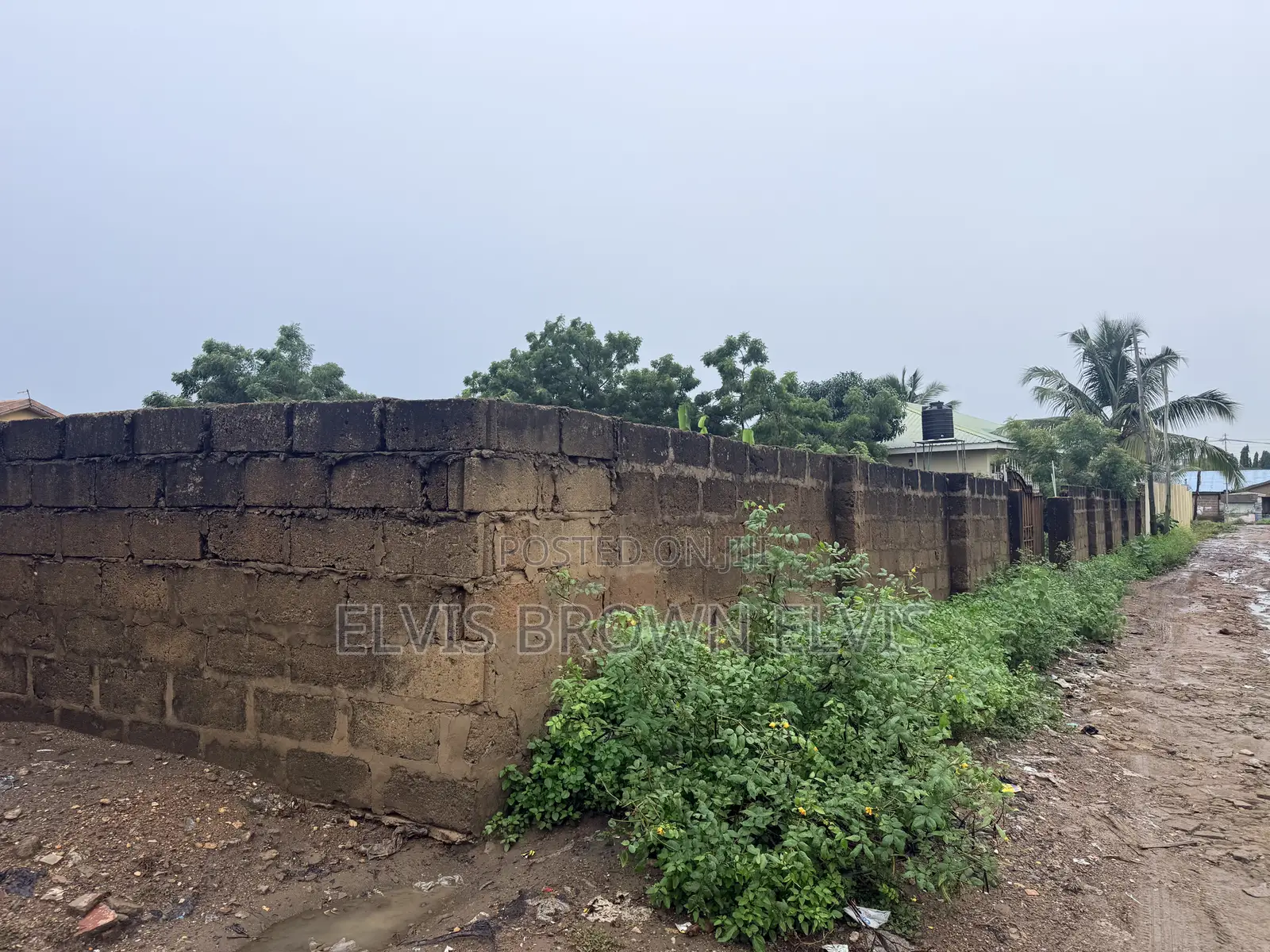 Do You Want to Buy a Plot of Land for Sale at Teshie Bush Road in Tseaddo