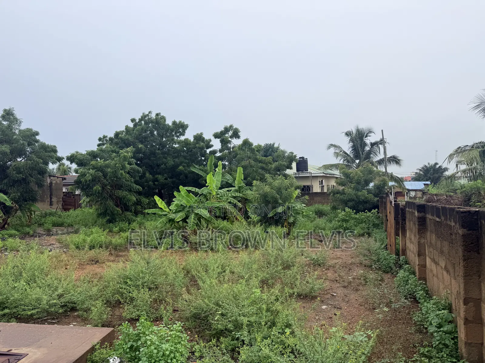 50 by 100 Size of Land for Sale at Teshie Bushroad Very Nice Location in Tseaddo
