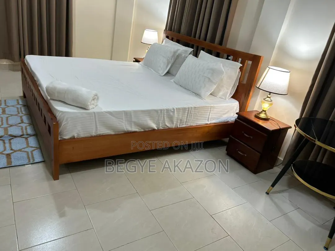 Furnished 4bdrm Apartment in Begye, Tseaddo for rent in Tseaddo