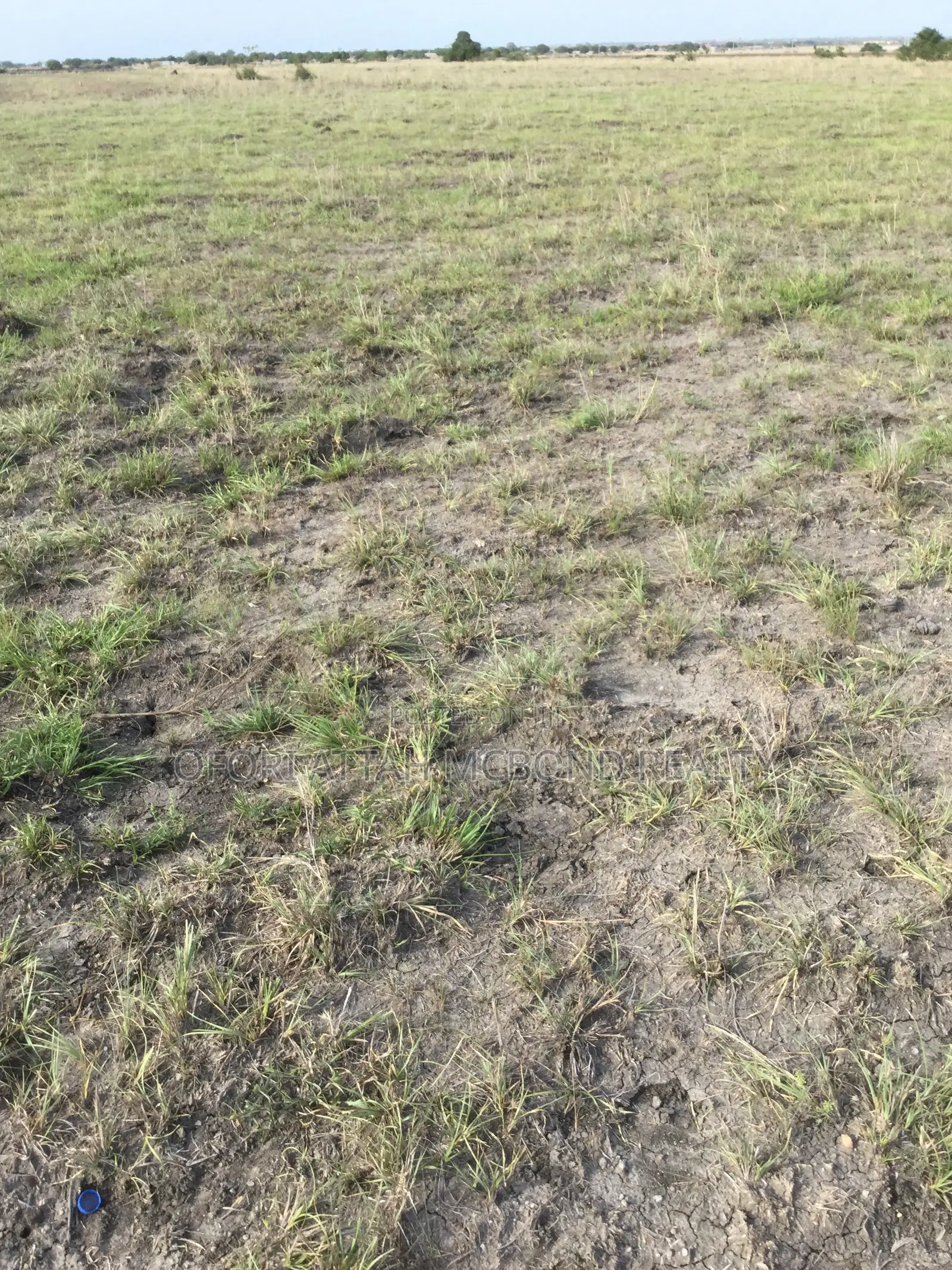 Affordable - Estate -tsopoli Airport City Genuine Landsss ____ in Tema Metropolitan