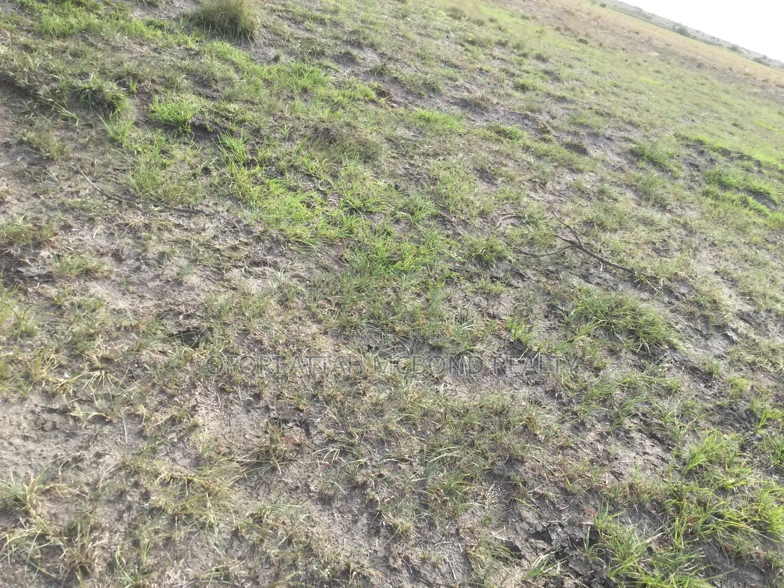 Full Plots - Tsopoli Airport City (Estate - Lands) in Tema Metropolitan
