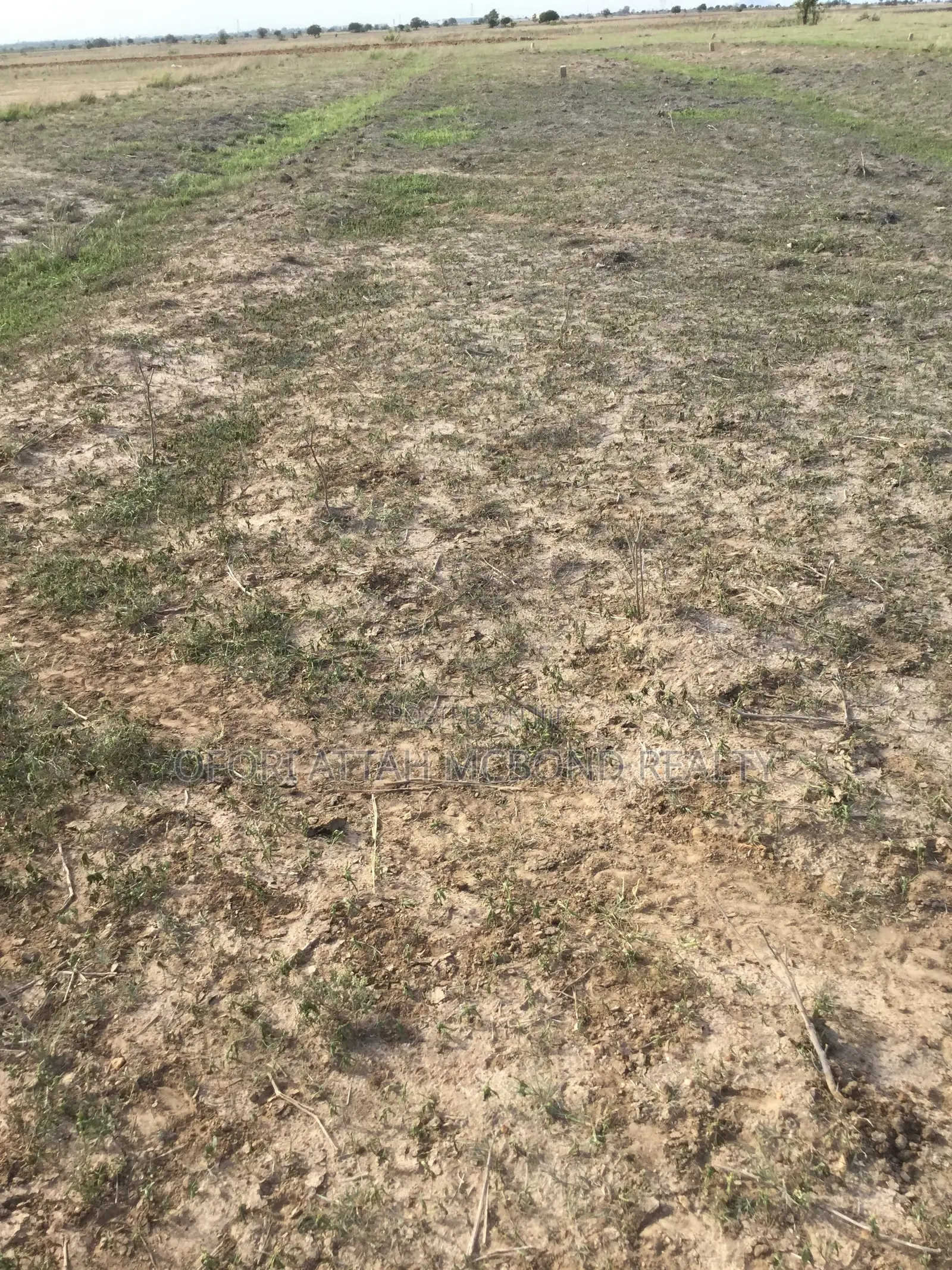 Tsopoli Estate_- Residential Full Plots (Secured Plots) in Tema Metropolitan
