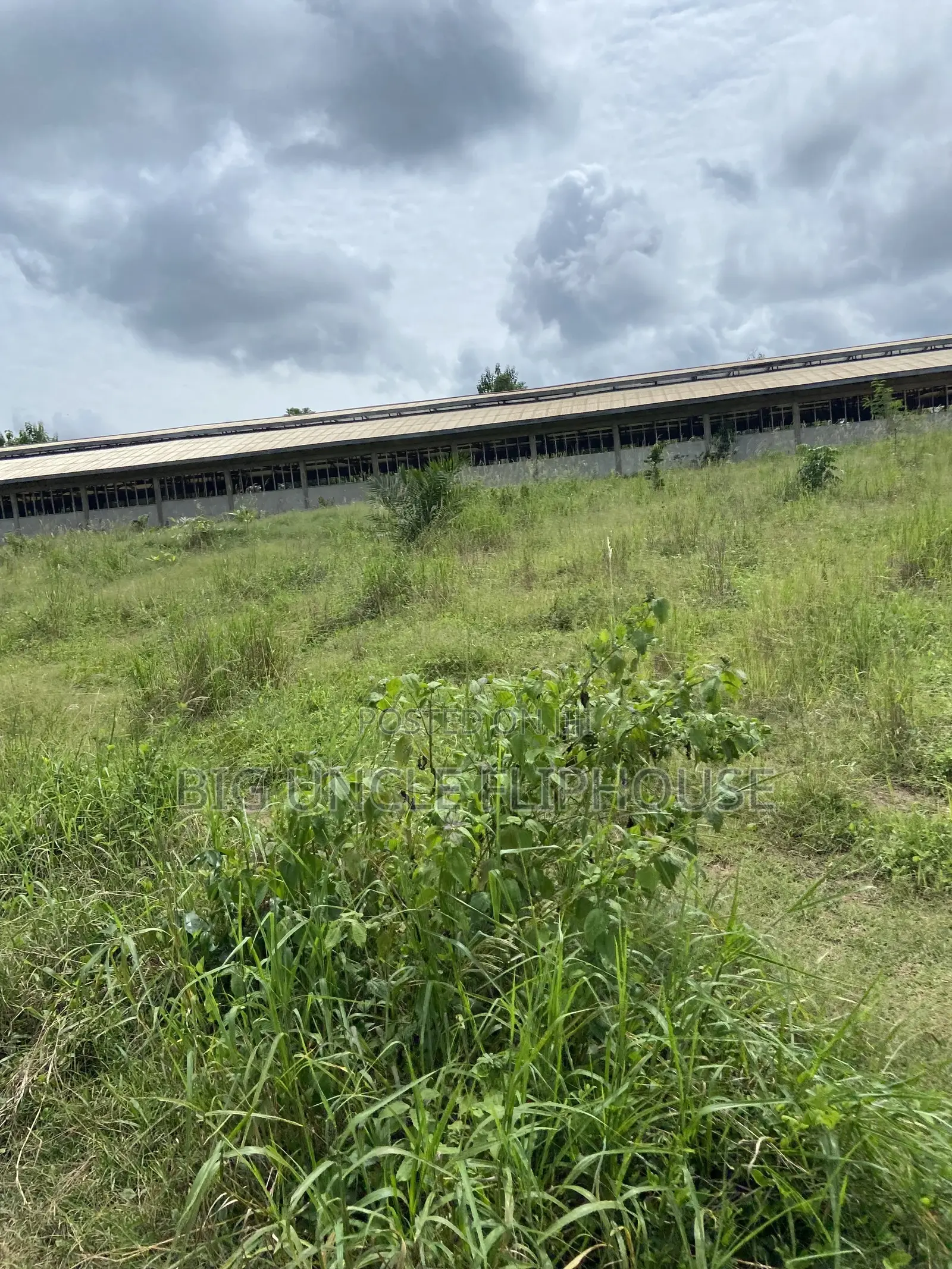 Investment Land for Sale at Dwenewoho. (10mins Drive From Mogpa) in Atwima Nwabiagya