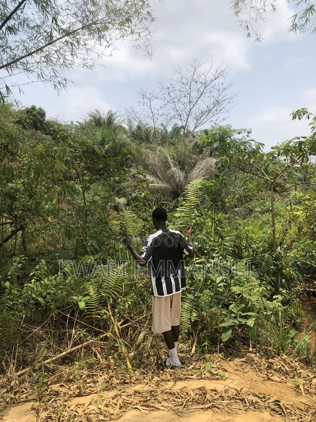 Land for Sale at Abuakwa Road Asampanay3 in Atwima Nwabiagya