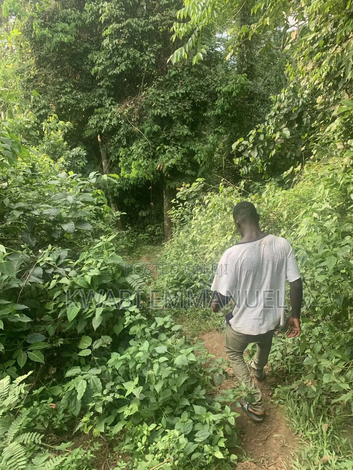Land for Sale at Abuakwa Road Asampanay3 in Atwima Nwabiagya