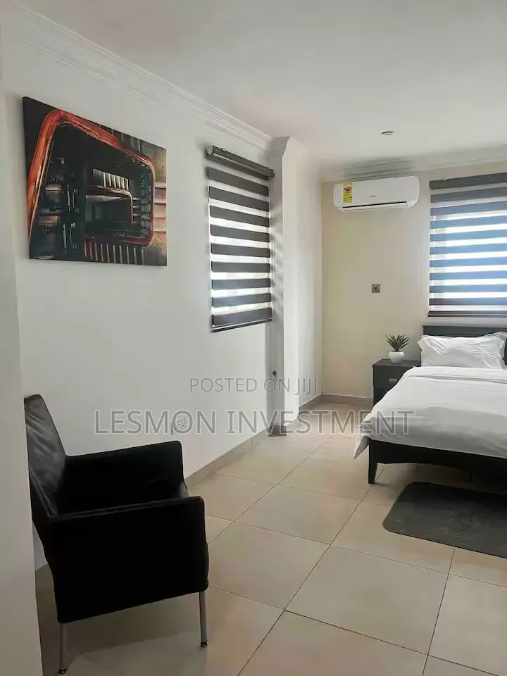 Furnished 1bdrm Apartment in Lesmon Investment, Oxford Street for rent in Oxford Street