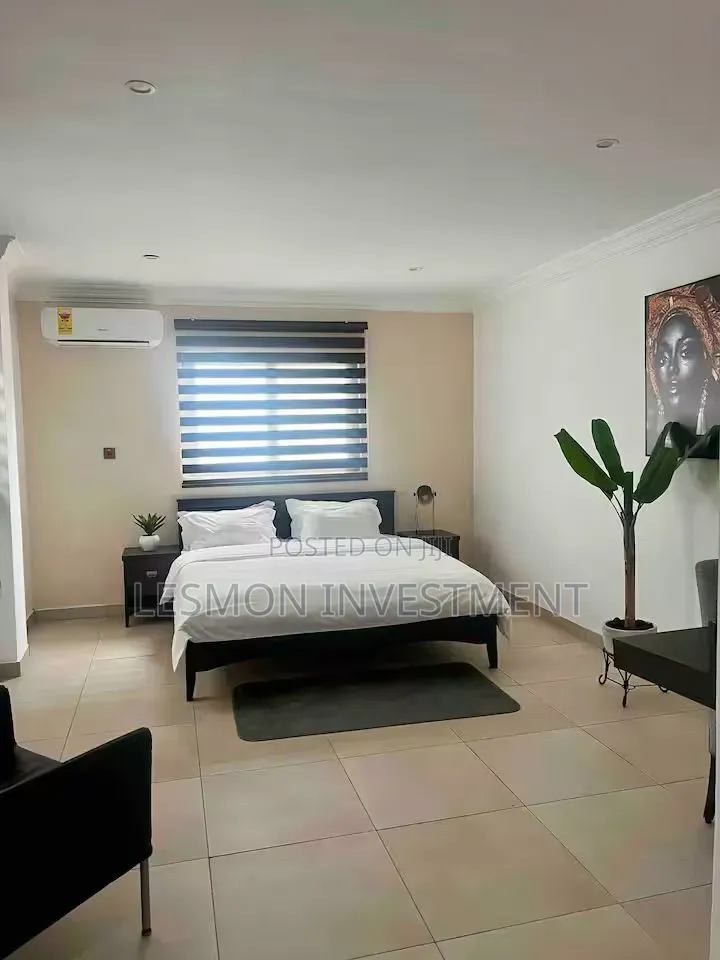 Furnished 1bdrm Apartment in Lesmon Investment, Oxford Street for rent in Oxford Street
