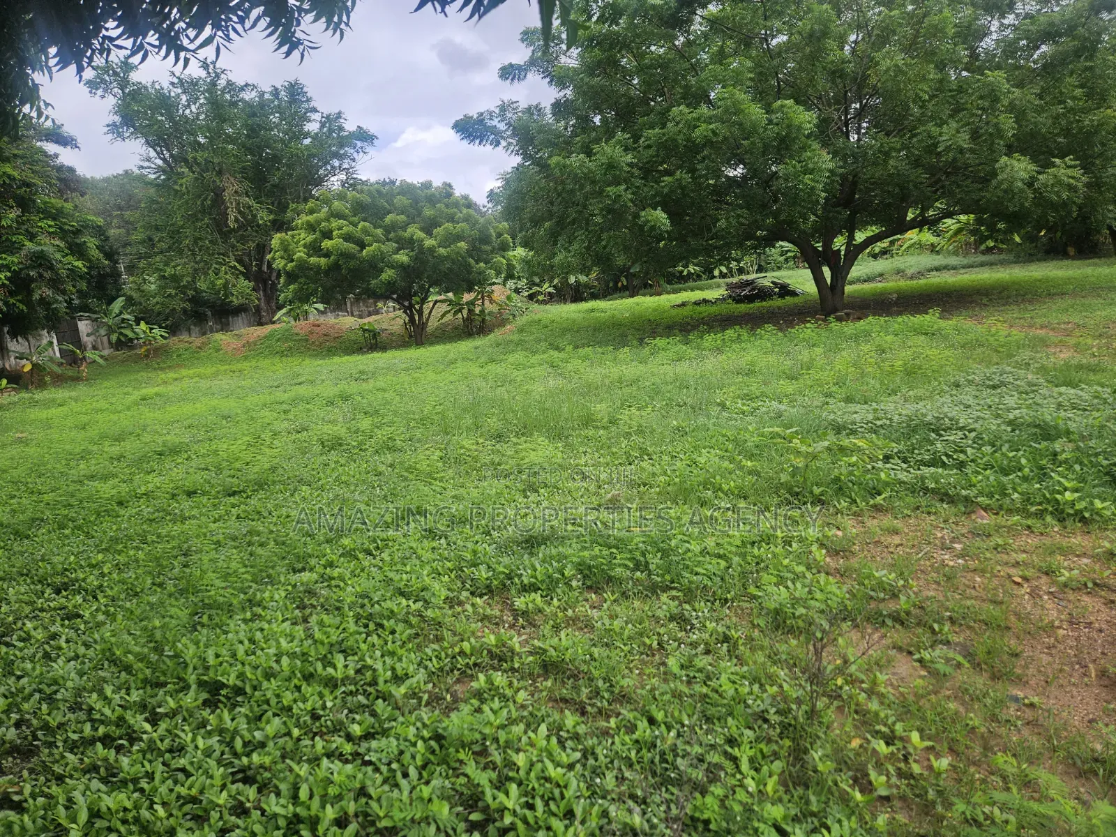 5.89 Acres of Main Roadside Commercial Land for Sale at the Airport in Airport Residential Area