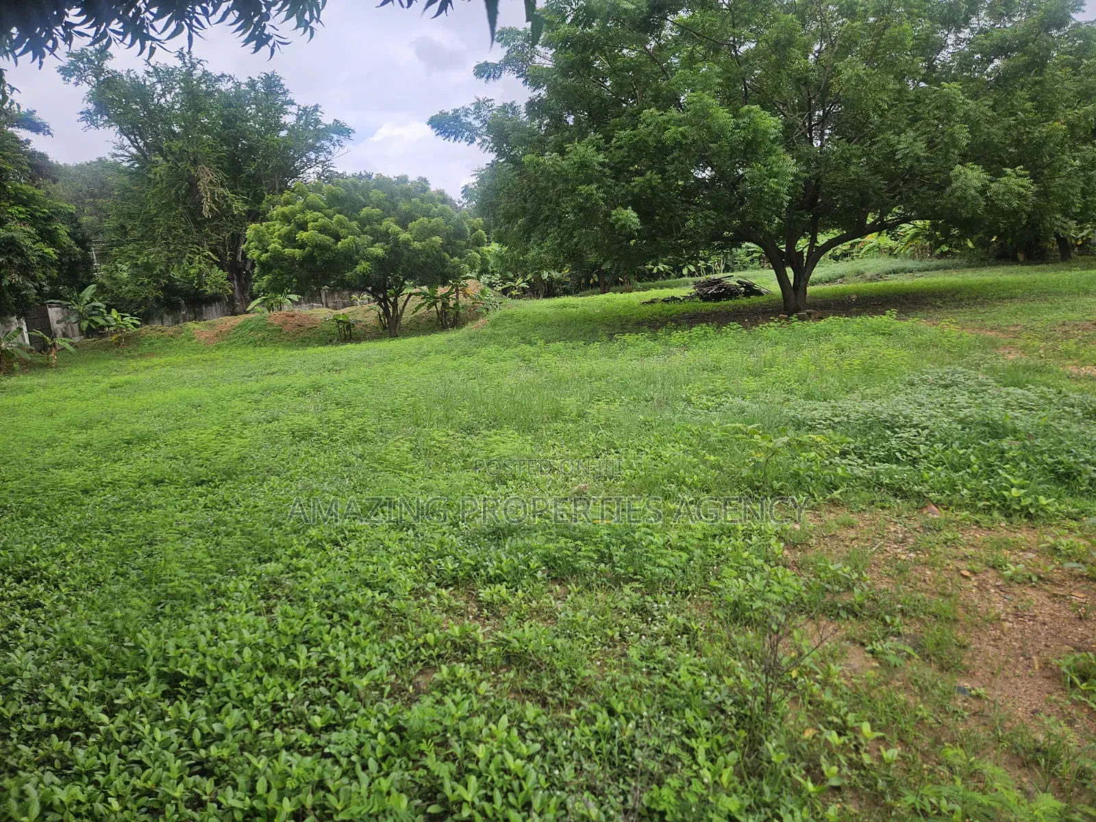 5.89 Acres of Main Roadside Commercial Land for Sale at the Airport in Airport Residential Area