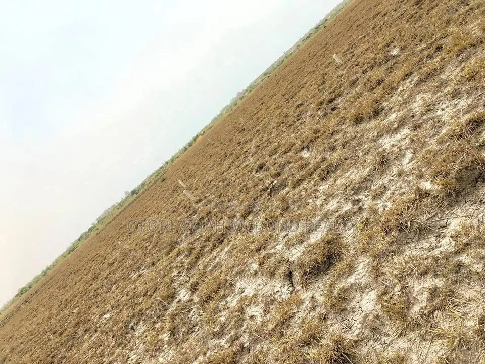 Secured Full Plots- Tsopoli Airport City (Estate) Lands for Sale ! in Tema Metropolitan