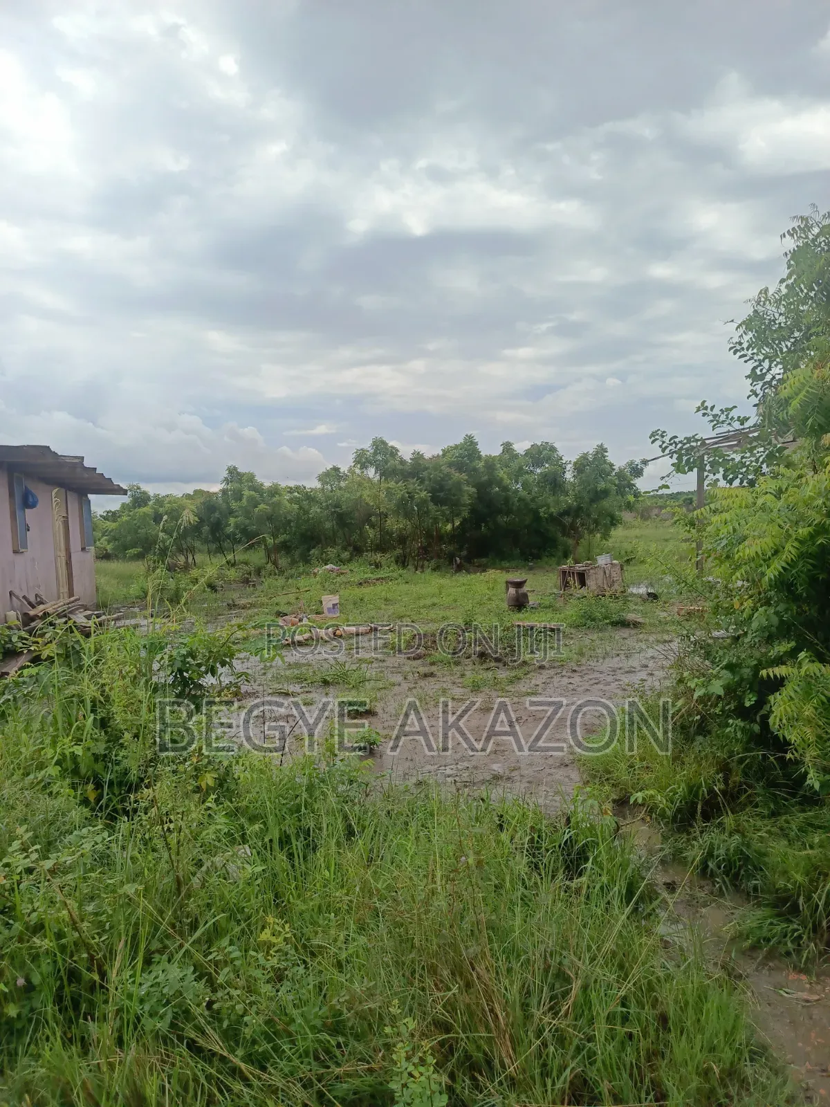 25 Acres Farm Land at Kintapo for Sale in Kintampo South
