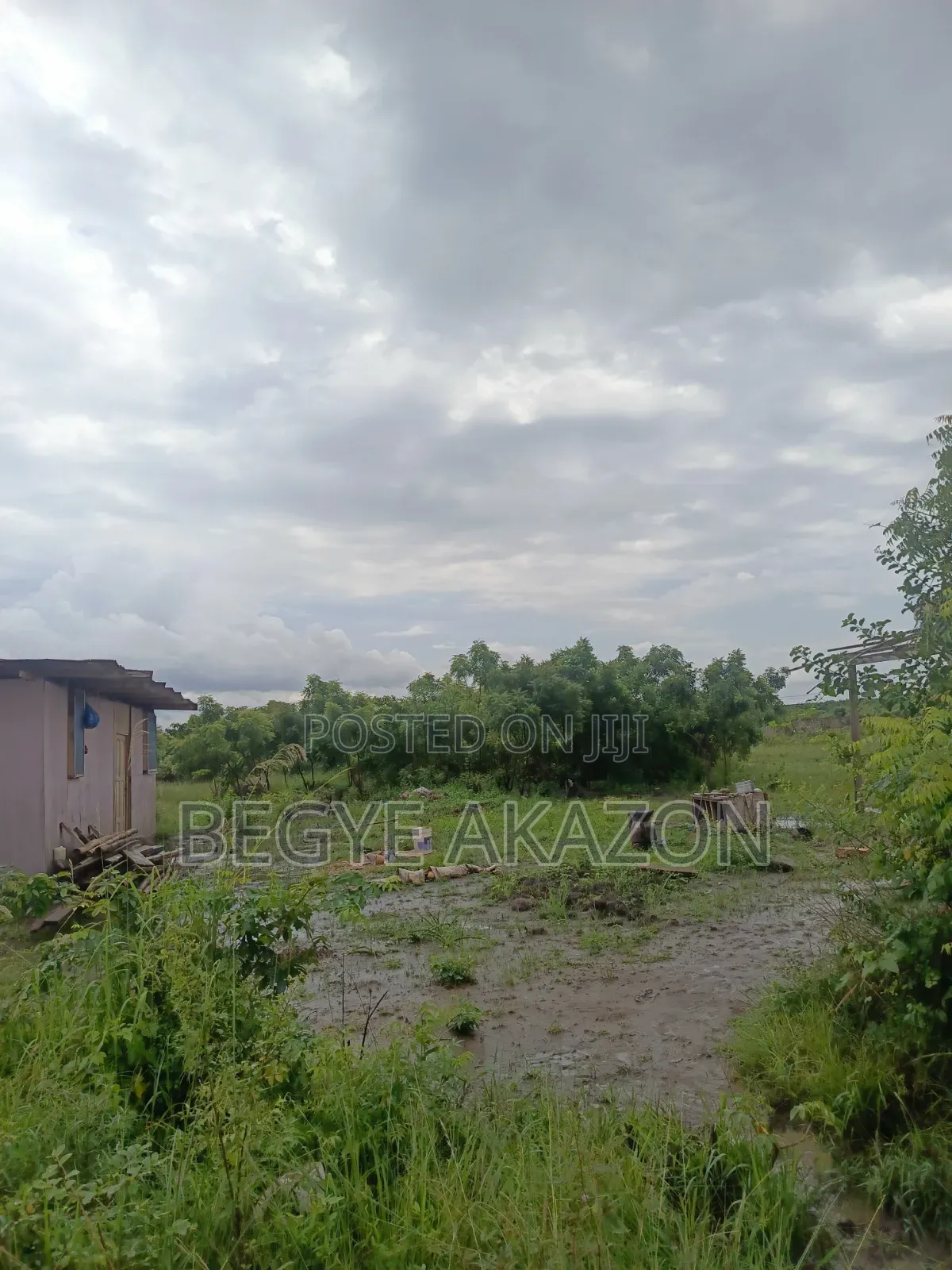 25 Acres Farm Land at Kintapo for Sale in Kintampo South