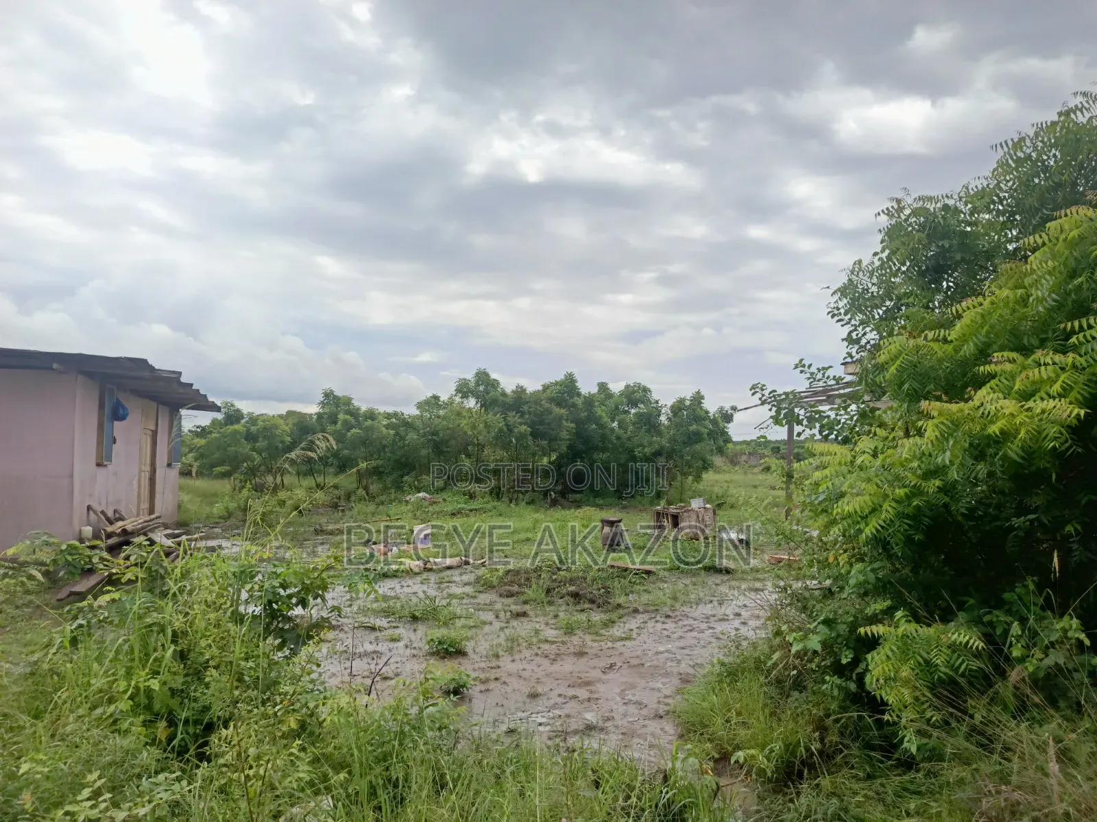 25 Acres Farm Land at Kintapo for Sale in Kintampo South