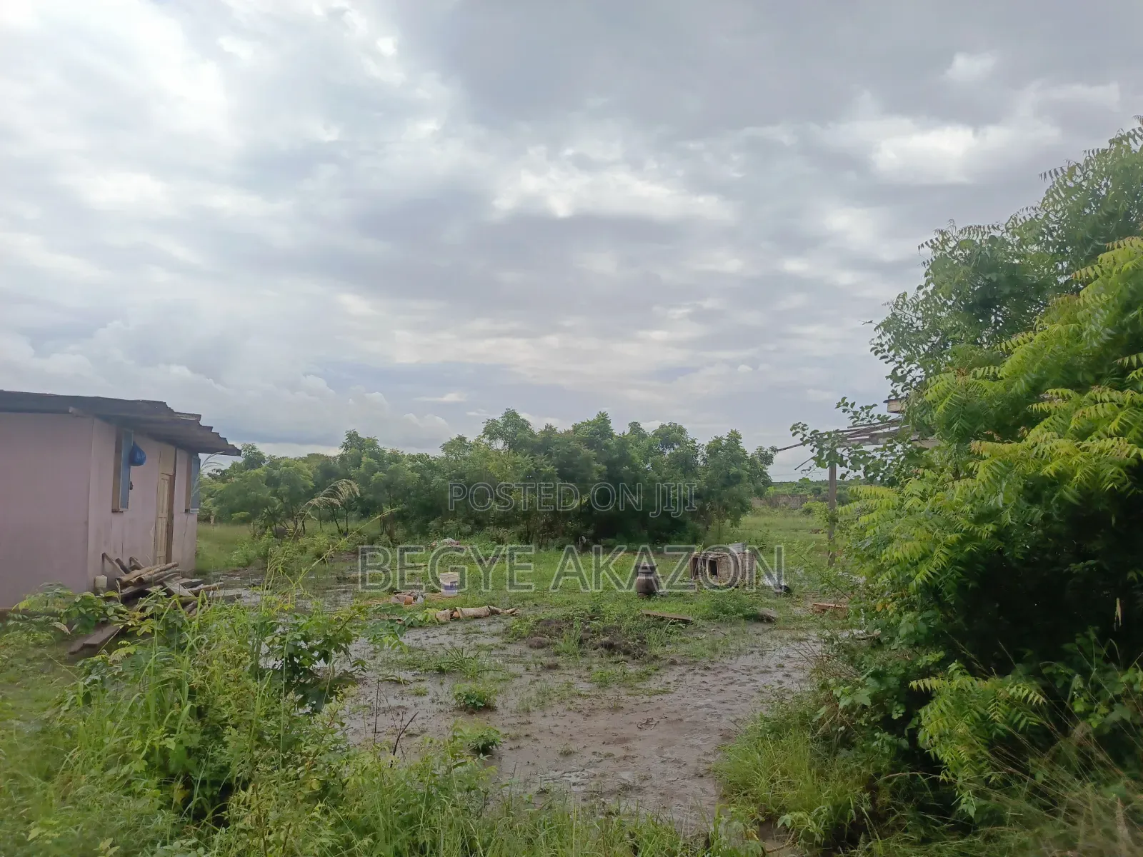 25 Acres Farm Land at Kintapo for Sale in Kintampo South