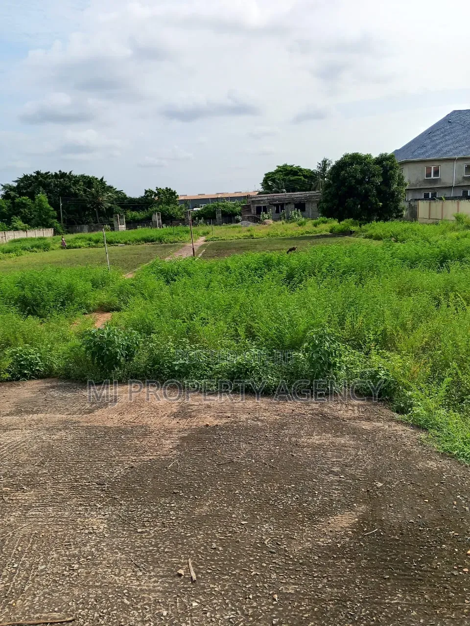 6 Plots of Land for Rent in Community 25