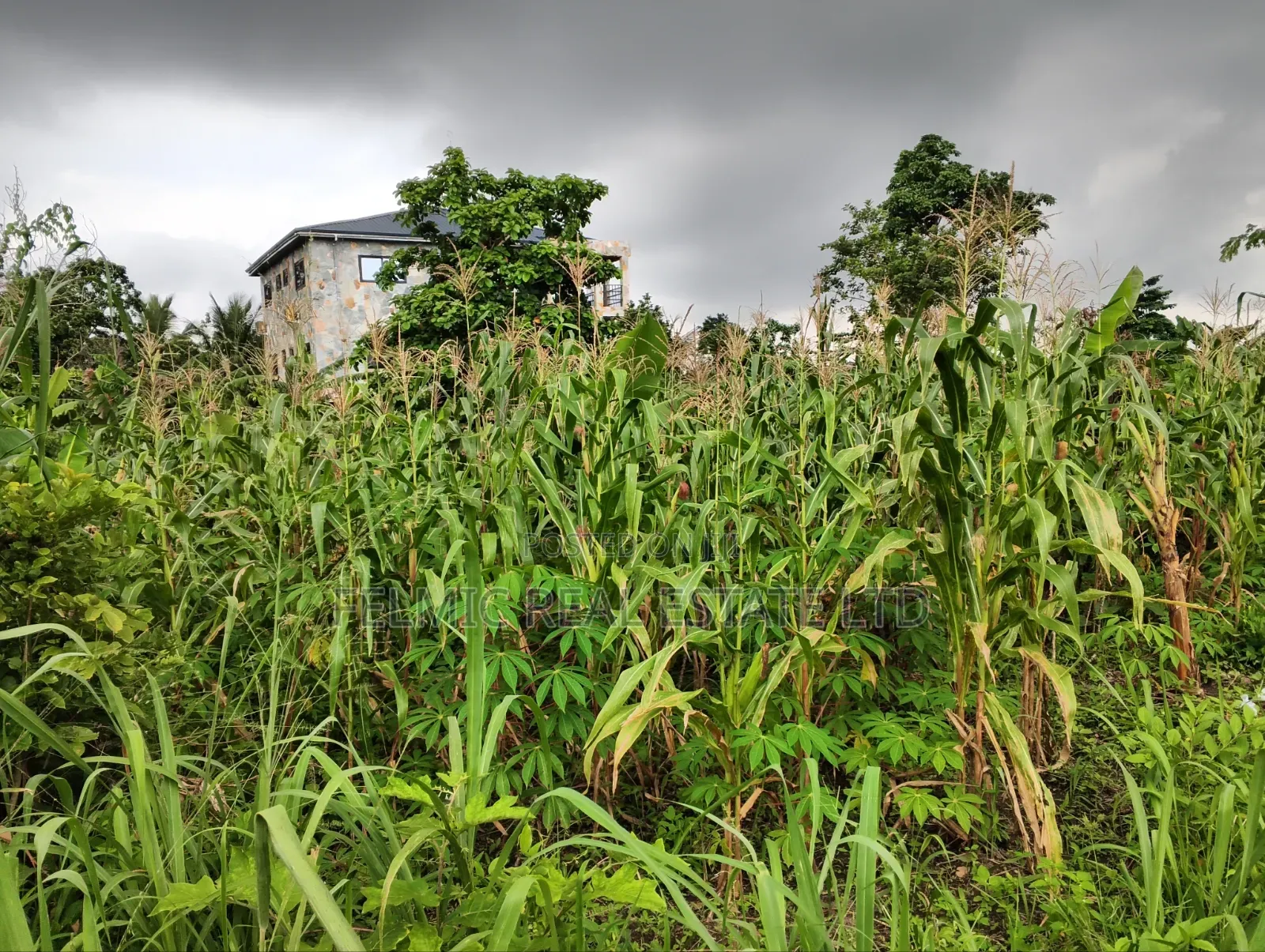 2 Plots Of Land At Aburi For Sale in Aburi