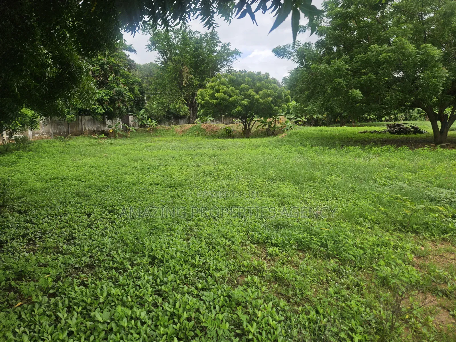 Tower
4.89 Acres of Land Multipurpose, Land for Sale at Ridge in Hospital Area