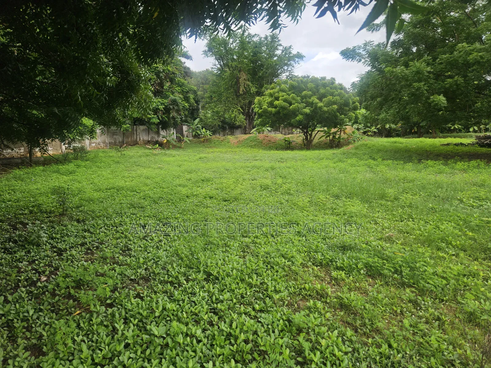 Tower
4.89 Acres of Land Multipurpose, Land for Sale at Ridge in Hospital Area