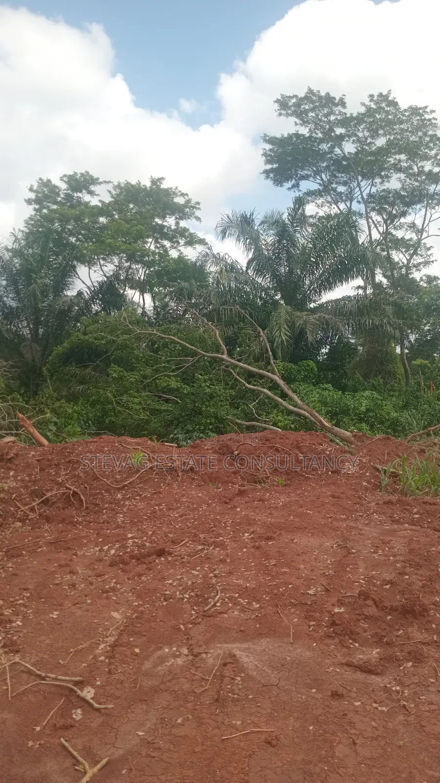 Alpha Properties Estate Land for Sale at Kasoa Buduatta Odumase in Awutu Senya East Municipal