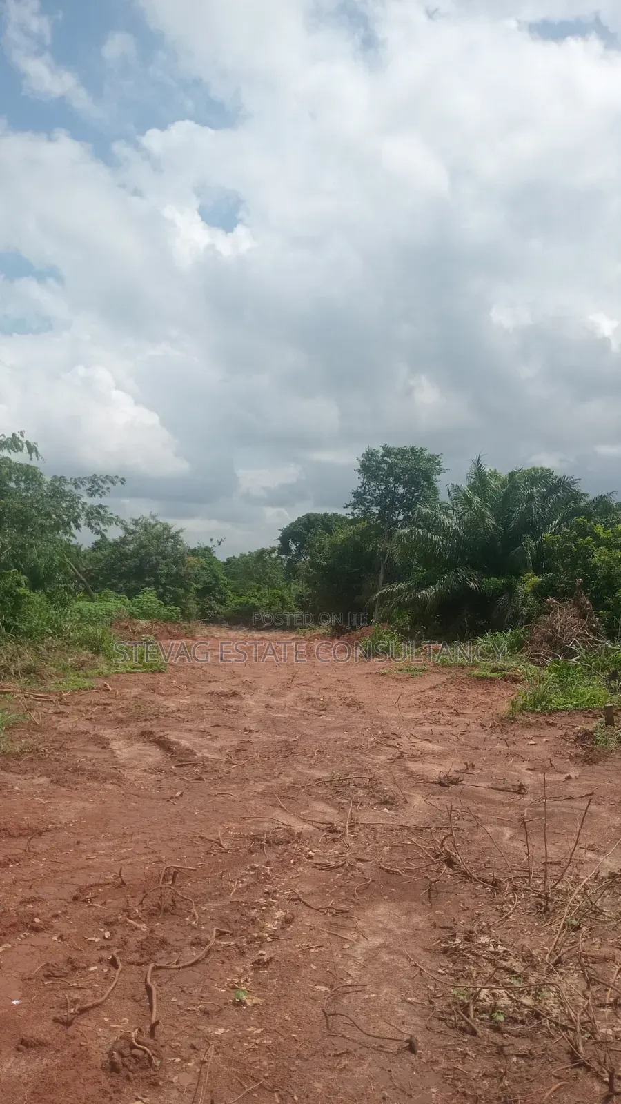 Alpha Properties Estate Land for Sale at Kasoa Buduatta Odumase in Awutu Senya East Municipal