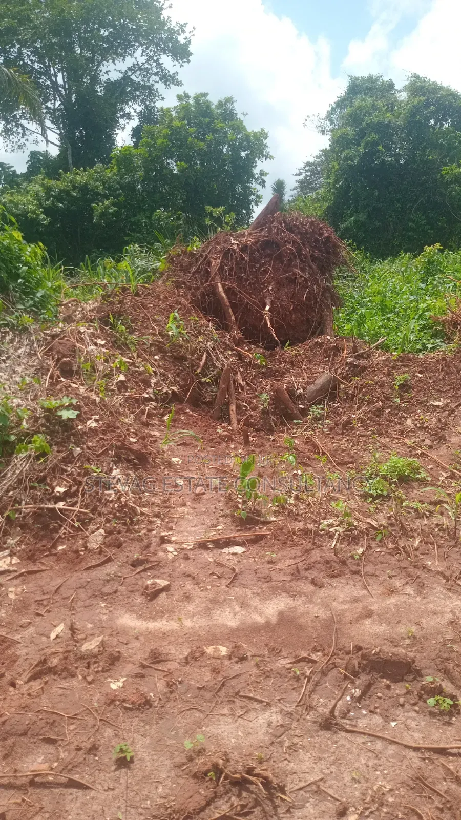 Estate Land for Sale at Kasoa Buduatta Odumase in Awutu Senya East Municipal