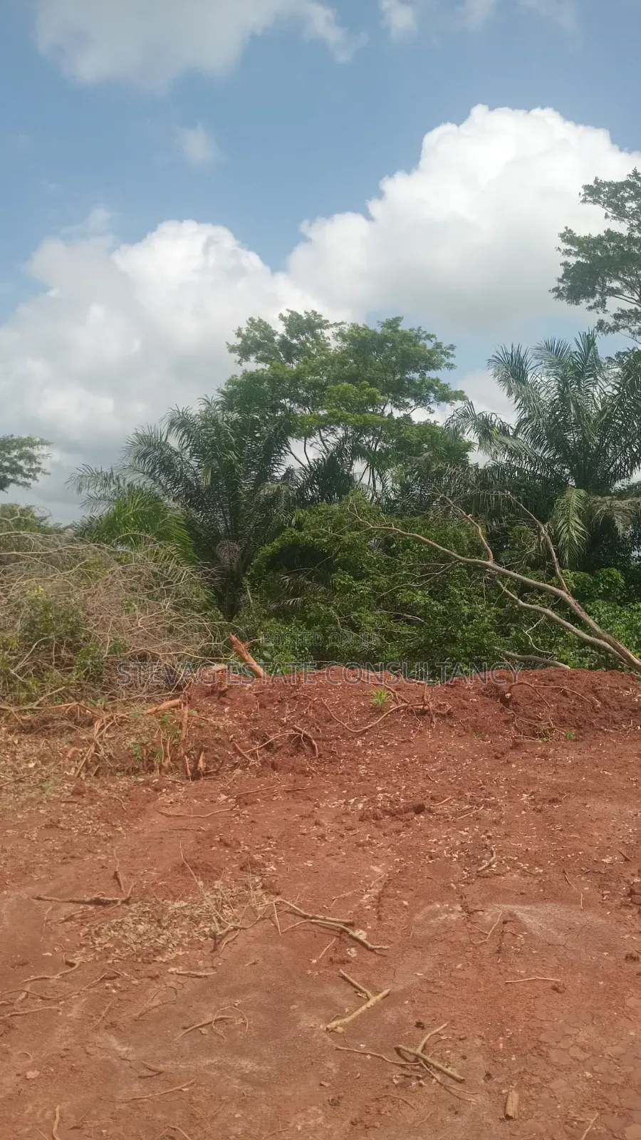 Estate Land for Sale at Kasoa Buduatta Odumase in Awutu Senya East Municipal