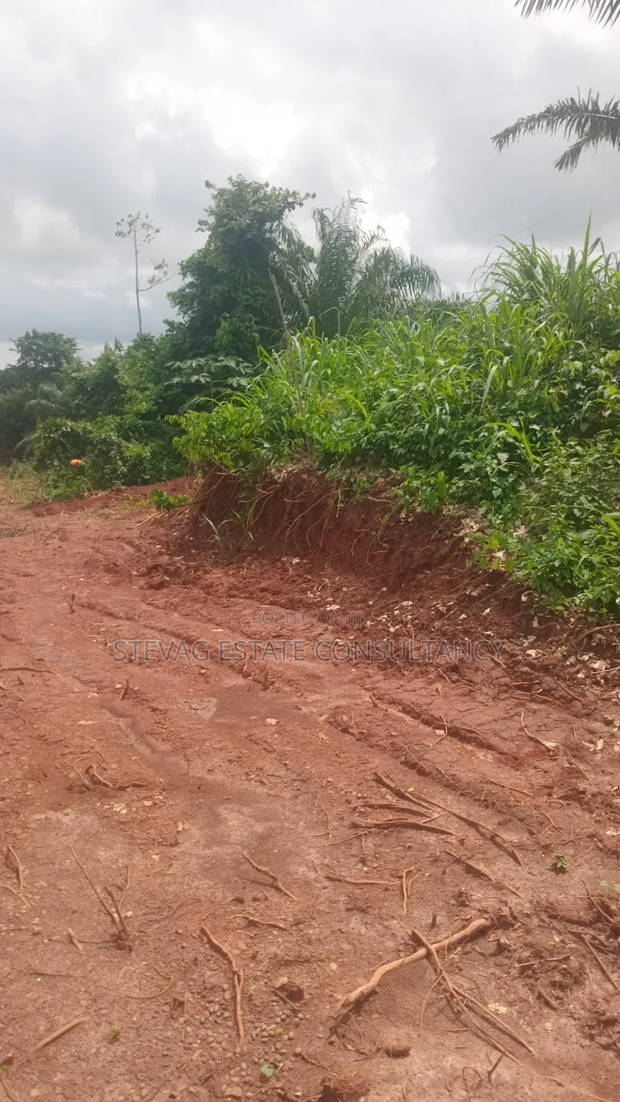 Estate Land for Sale at Kasoa Buduatta Odumase in Awutu Senya East Municipal