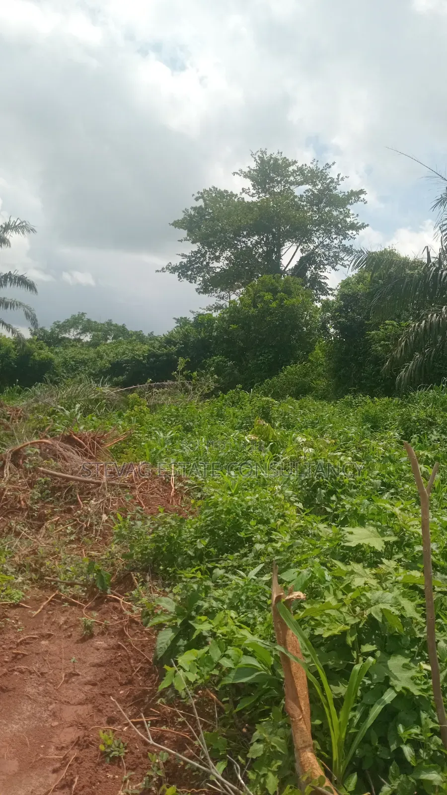Land for Sale at Kasoa Buduatta in Awutu Senya East Municipal