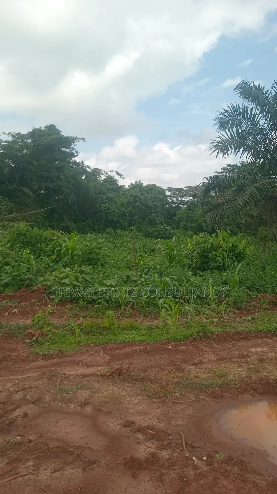 Land for Sale at Kasoa Buduatta in Awutu Senya East Municipal