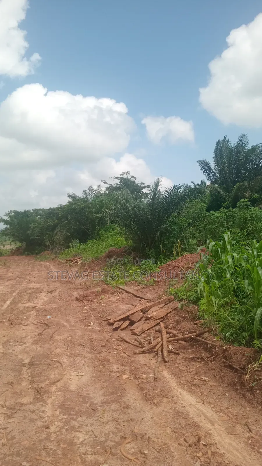 Alpha Investment Land for Sale at Kasoa Buduatta in Awutu Senya West