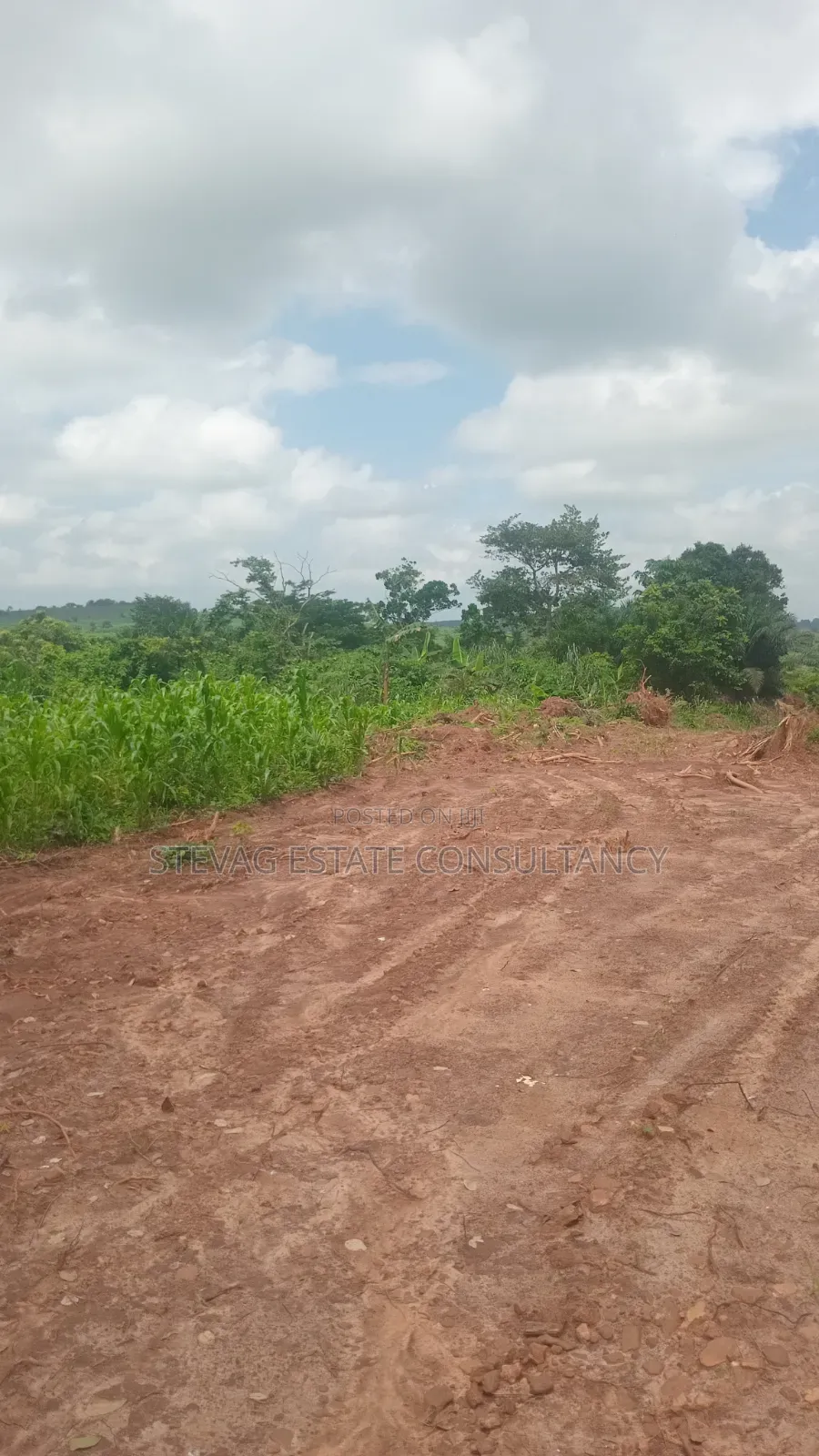 Alpha Investment Land for Sale at Kasoa Buduatta in Awutu Senya West